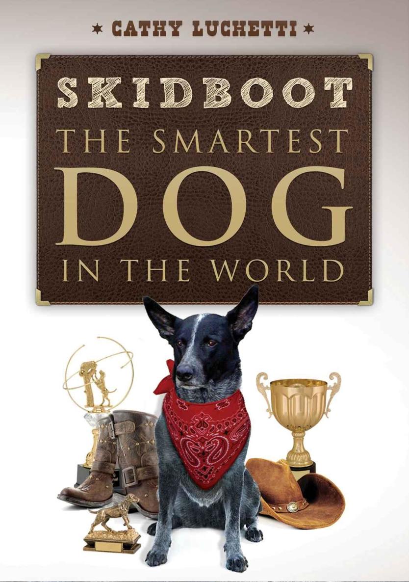 Skidboot 'The Smartest Dog in the World'