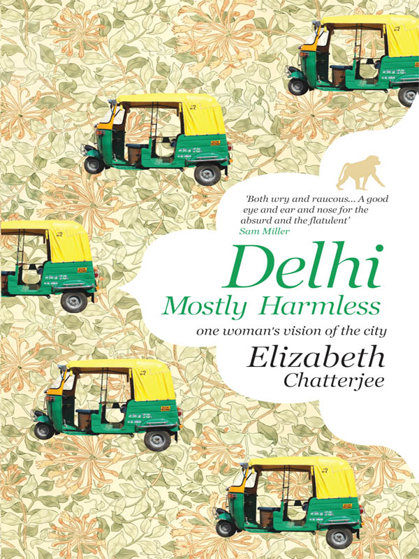 Delhi: Mostly Harmless: One Woman's Vision of the City