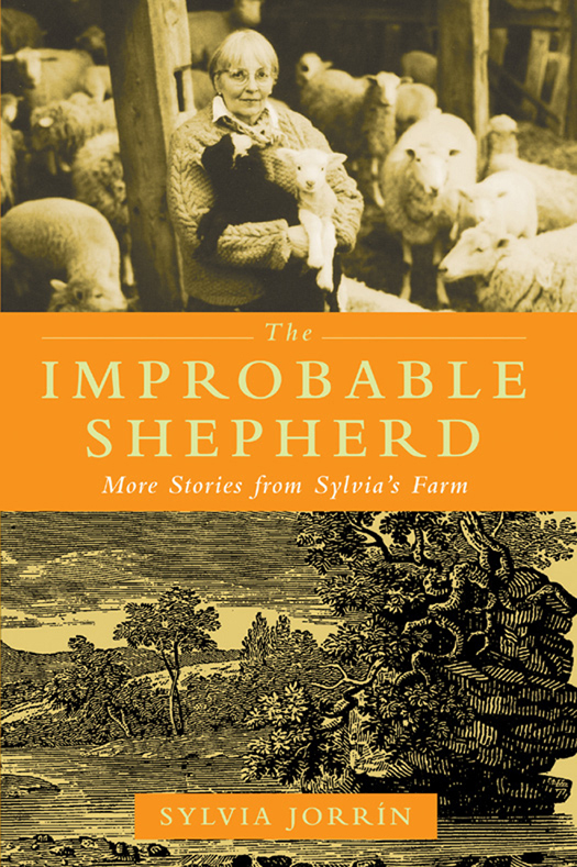 The Improbable Shepherd