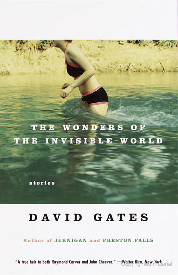 The Wonders of the Invisible World