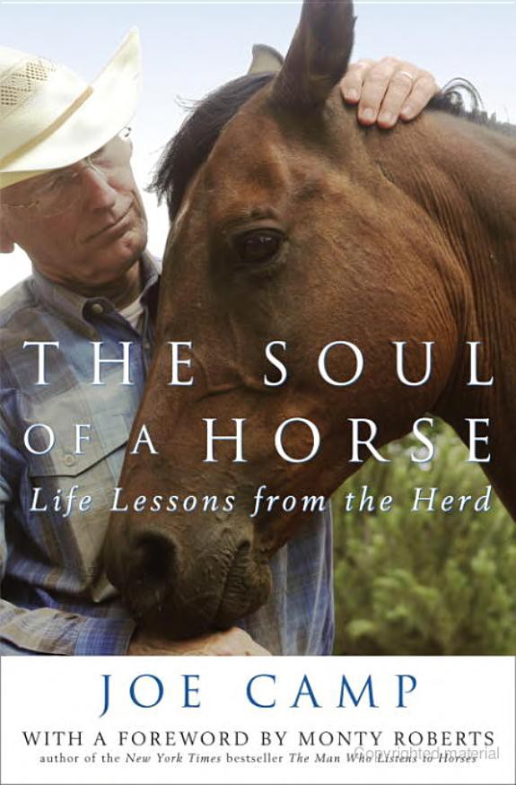 The Soul of a Horse: Life Lessons From the Herd