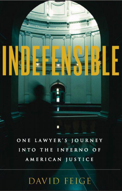 Indefensible: One Lawyer's Journey Into the Inferno of American Justice
