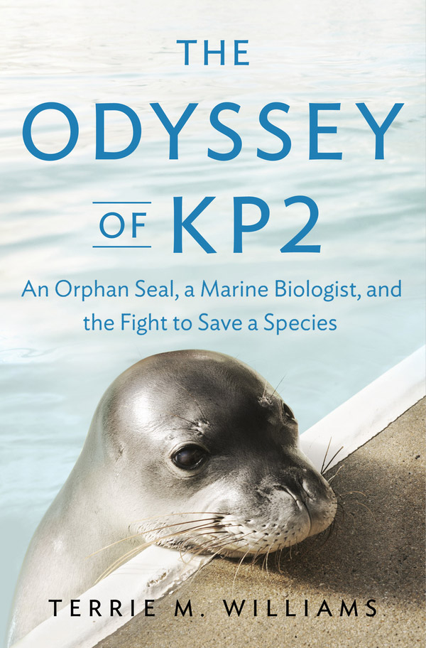 The Odyssey of KP2: An Orphan Seal and a Marine Biologists Fight to Save a Species