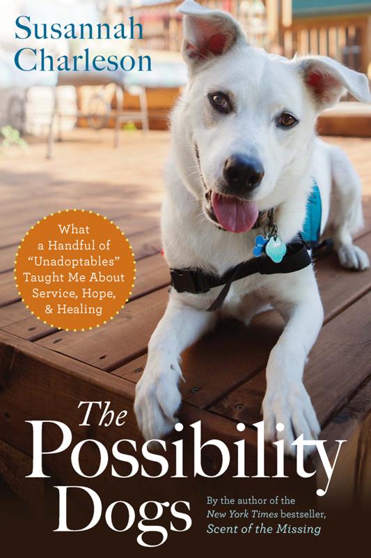 The Possibility Dogs: What a Handful of Unadoptables Taught Me About Service, Hope, and Healing