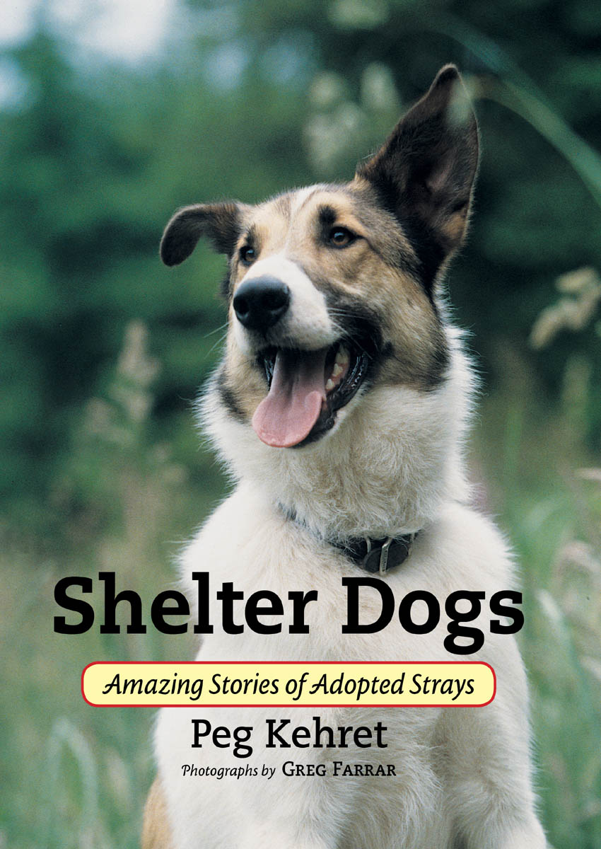 Shelter Dogs: Amazing Stories of Adopted Strays