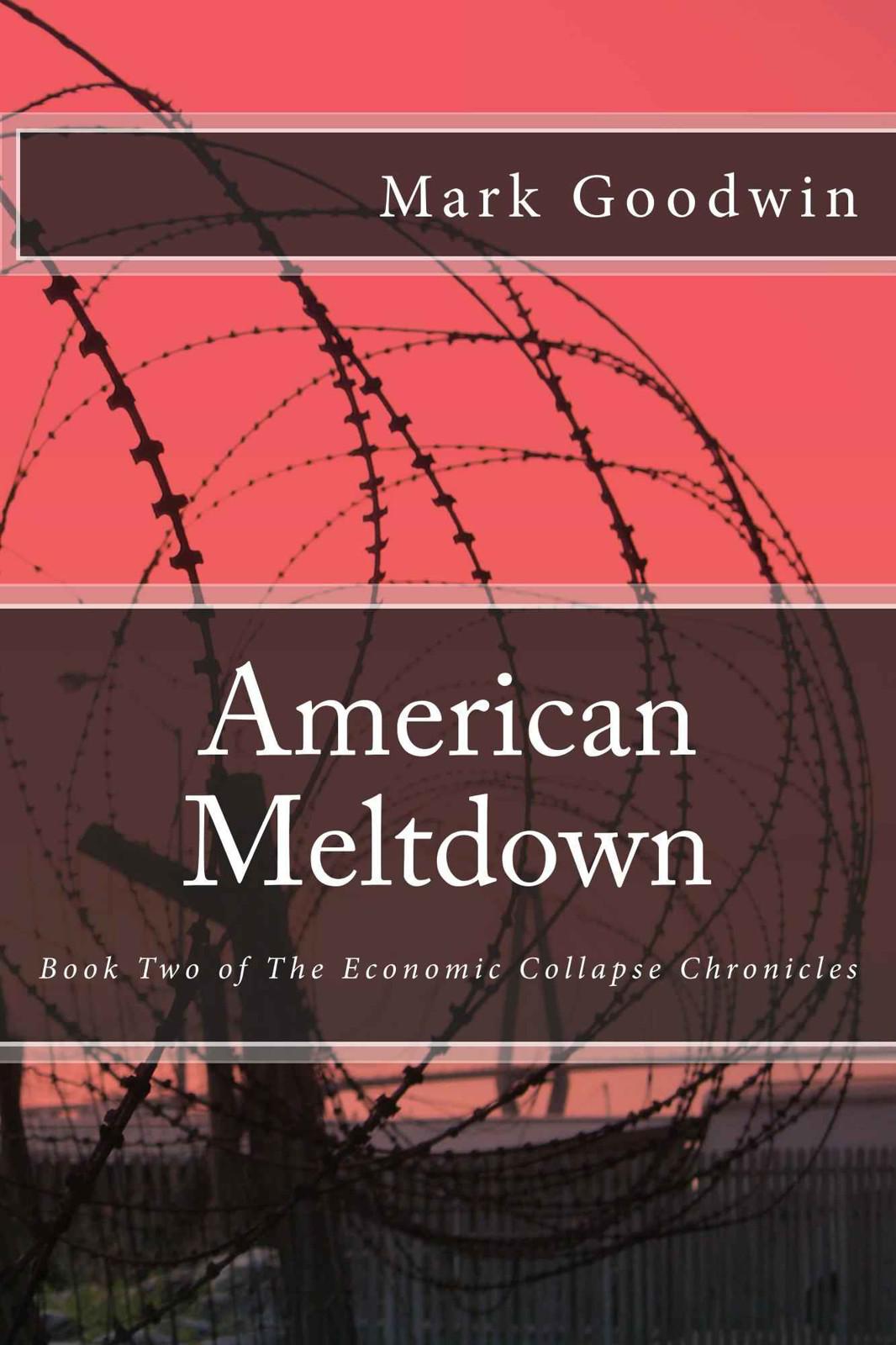 American Meltdown: Book Two