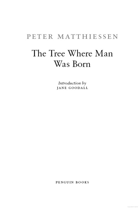 The Tree Where Man Was Born