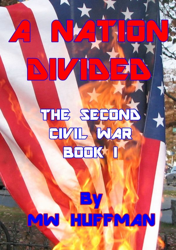 A Nation Divided - the Second Civil War