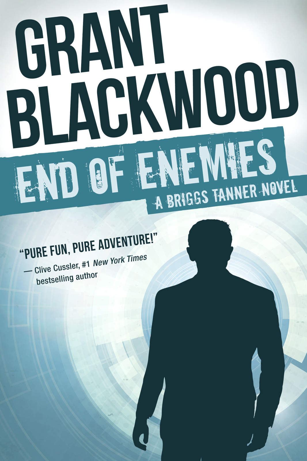 End of Enemies: A Briggs Tanner Novel