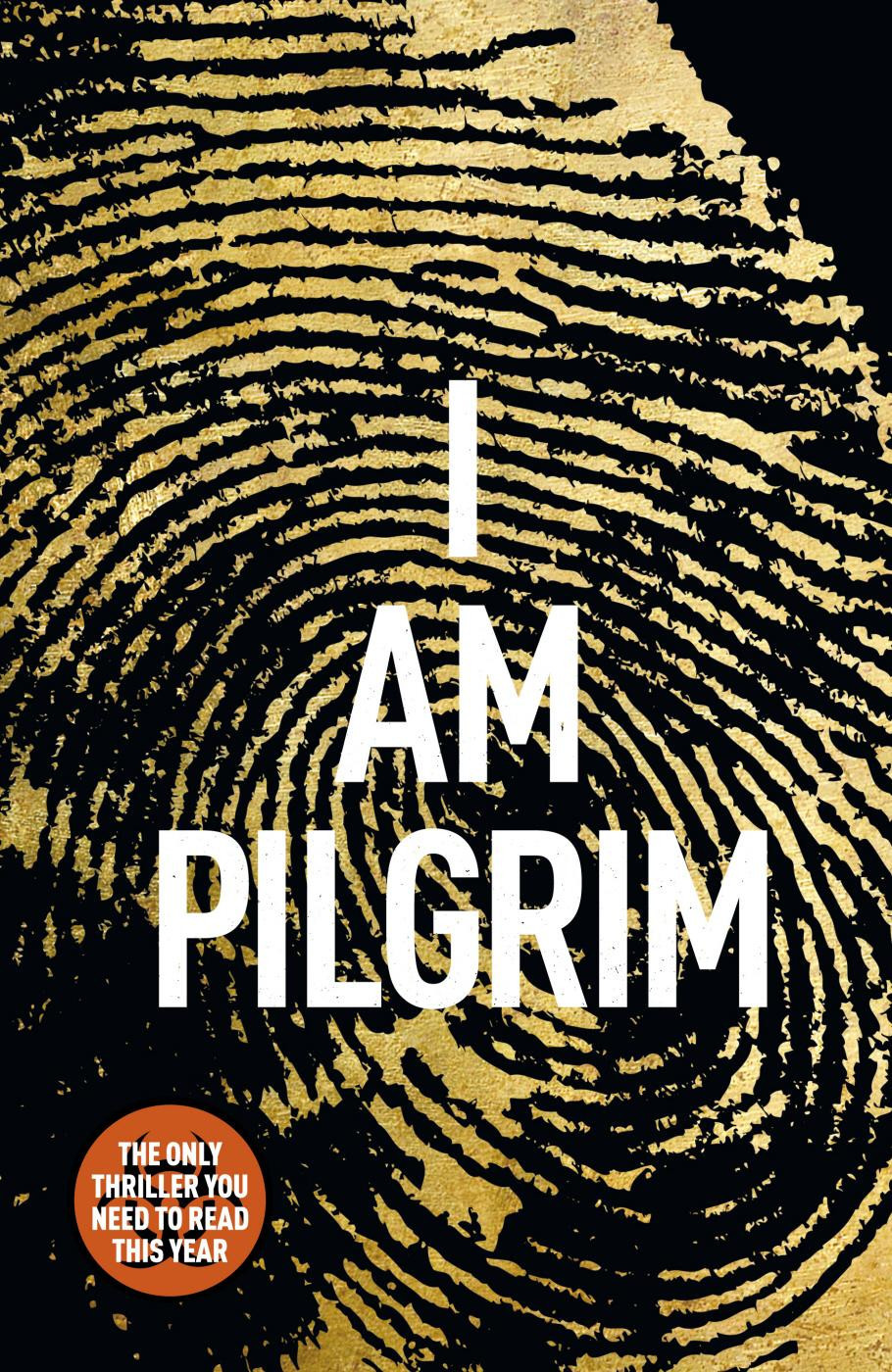 I Am Pilgrim: A Thriller