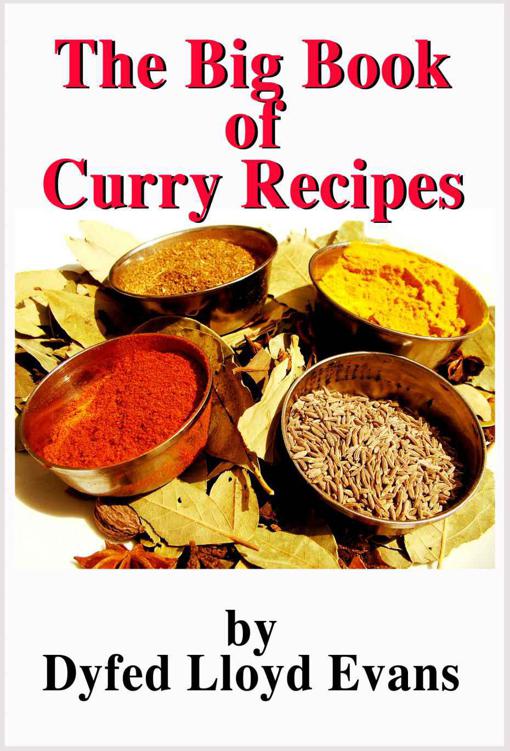 The Big Book of Curry Recipes (Big Book Recipes 1)