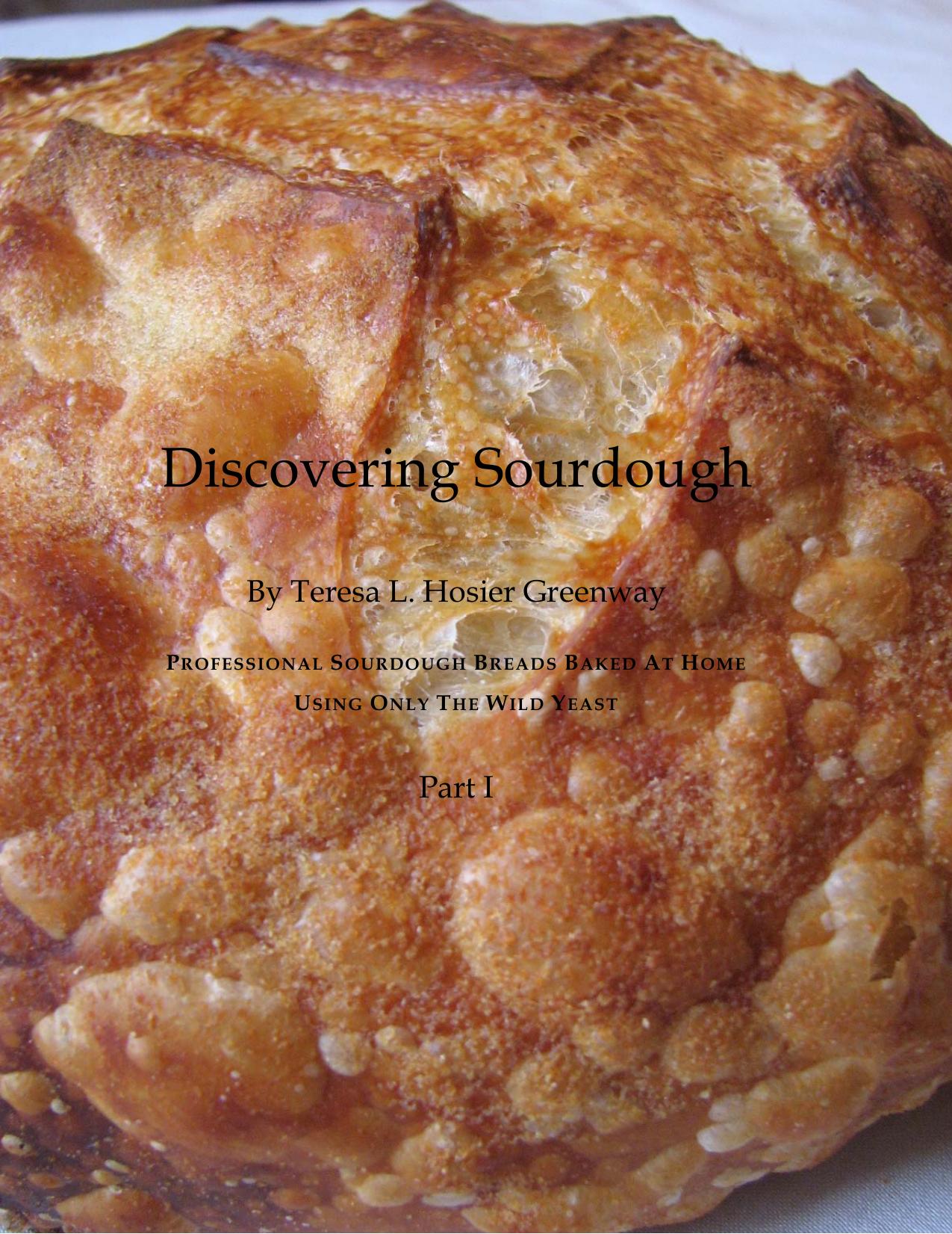 Discovering Sourdough Part I Beginning Sourdough: Professional Sourdough Baked at Home