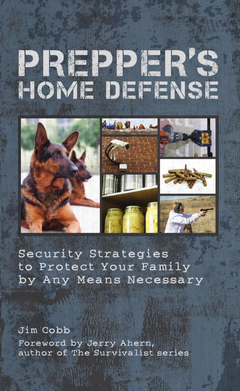 Prepper's Home Defense: Security Strategies to Protect Your Family by Any Means Necessary