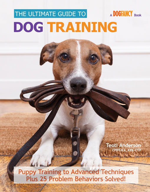 Puppy Care & Training