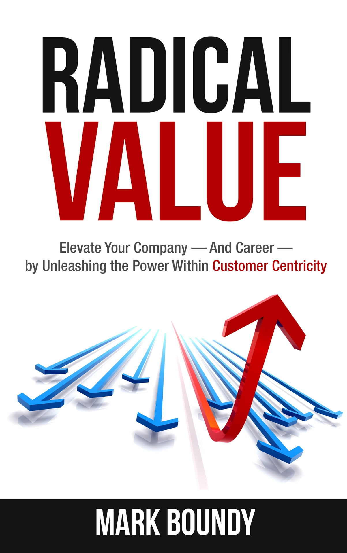 Radical Value: How to Take Your Company to the Next Level Through Radical Customer Centricity