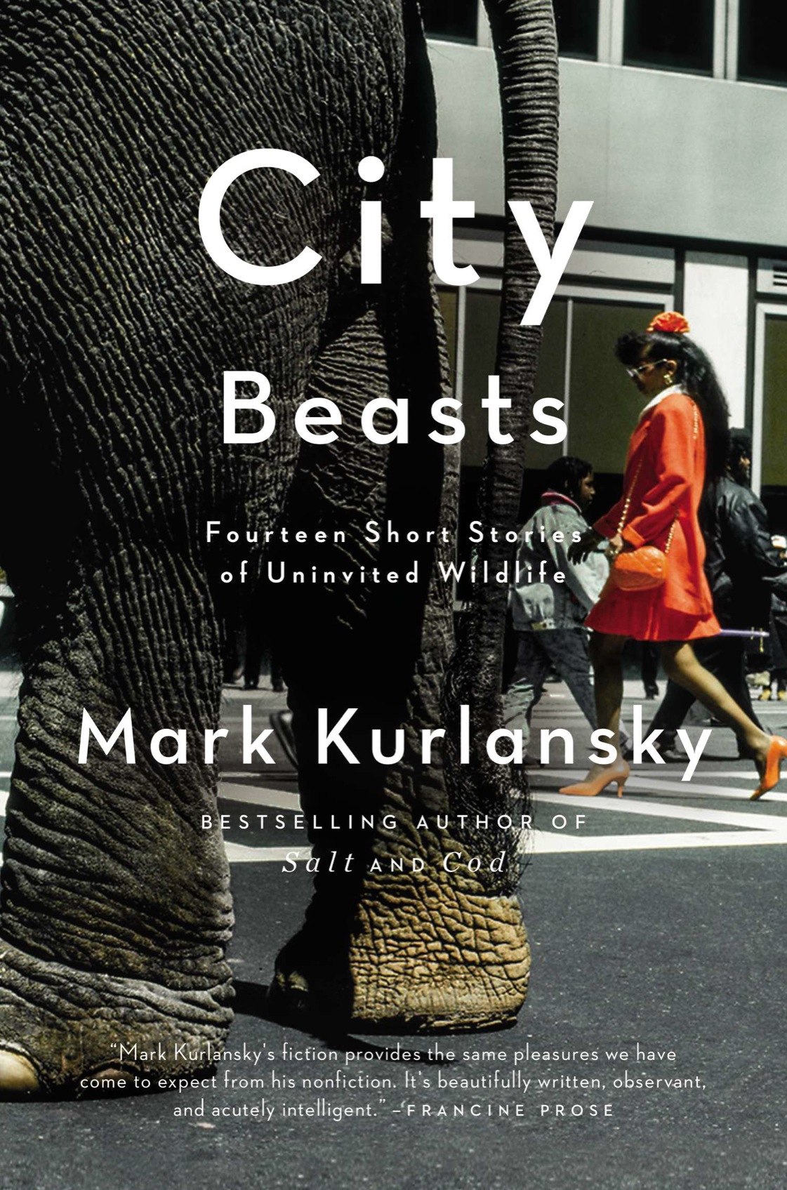City Beasts- Fourteen Short Stories of Uninvited Wildlife