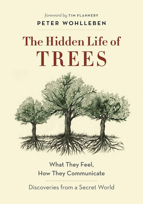 The Hidden Life of Trees: What They Feel, How They Communicate Discoveries From a Secret World