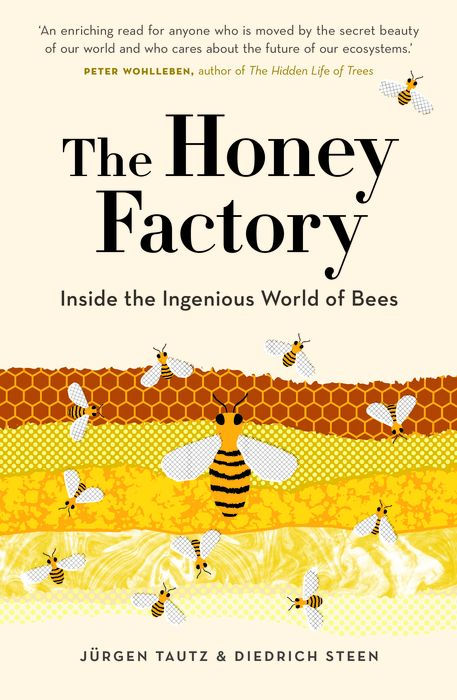 The Honey Factory: Inside the Ingenious World of Bees