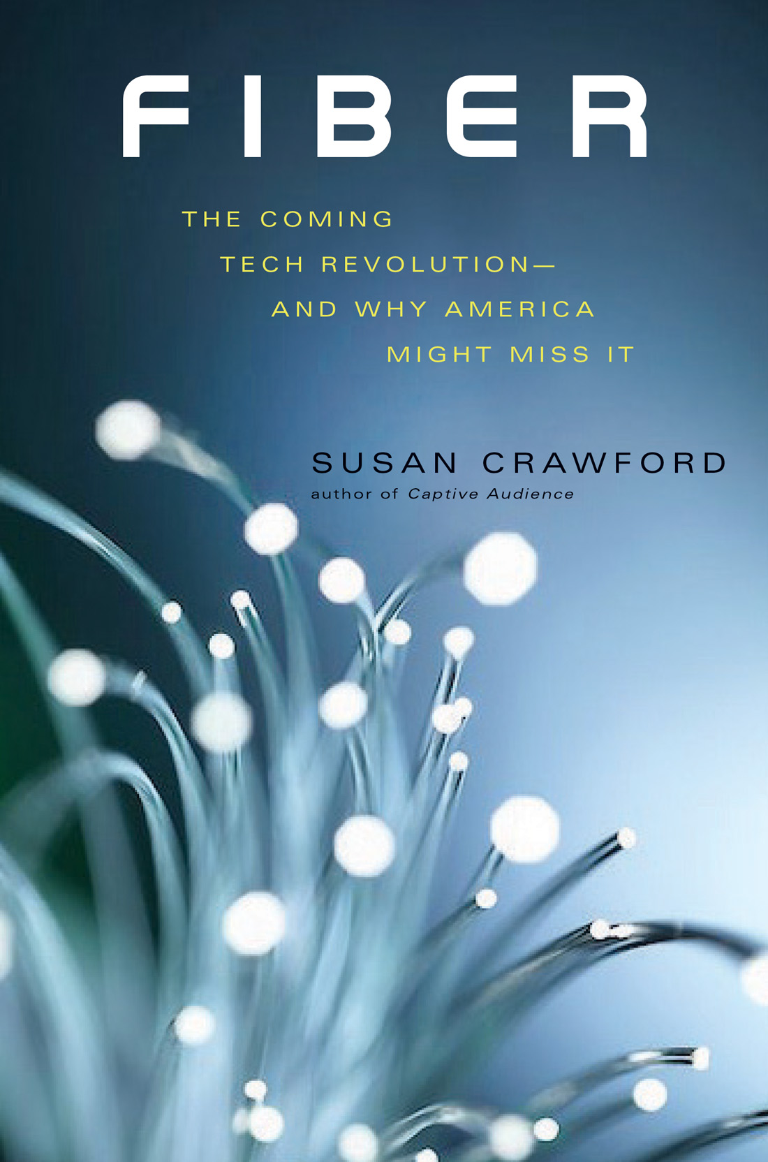 Fiber: The Coming Tech Revolution--And Why America Might Miss It