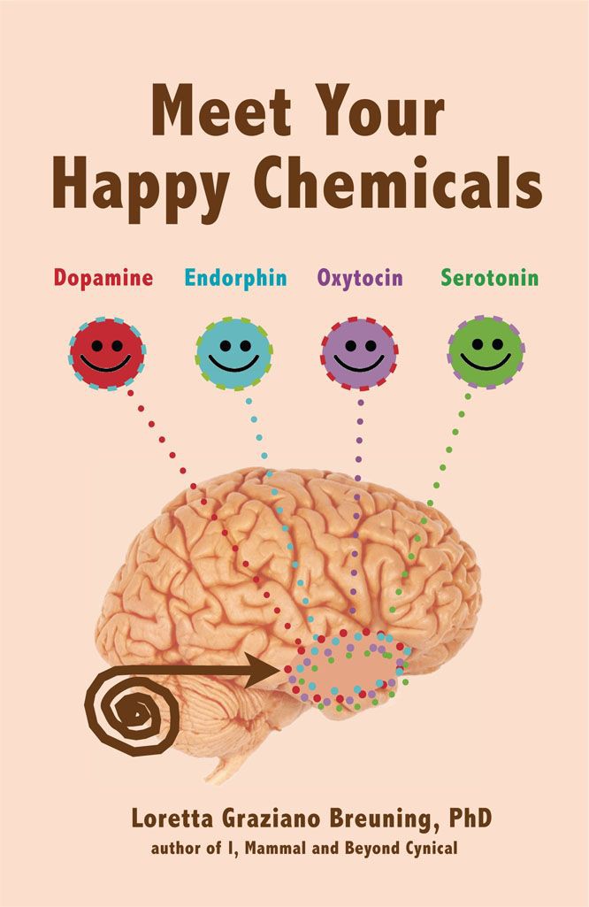 Meet Your Happy Chemicals: Dopamine, Endorphin, Oxytocin, Serotonin