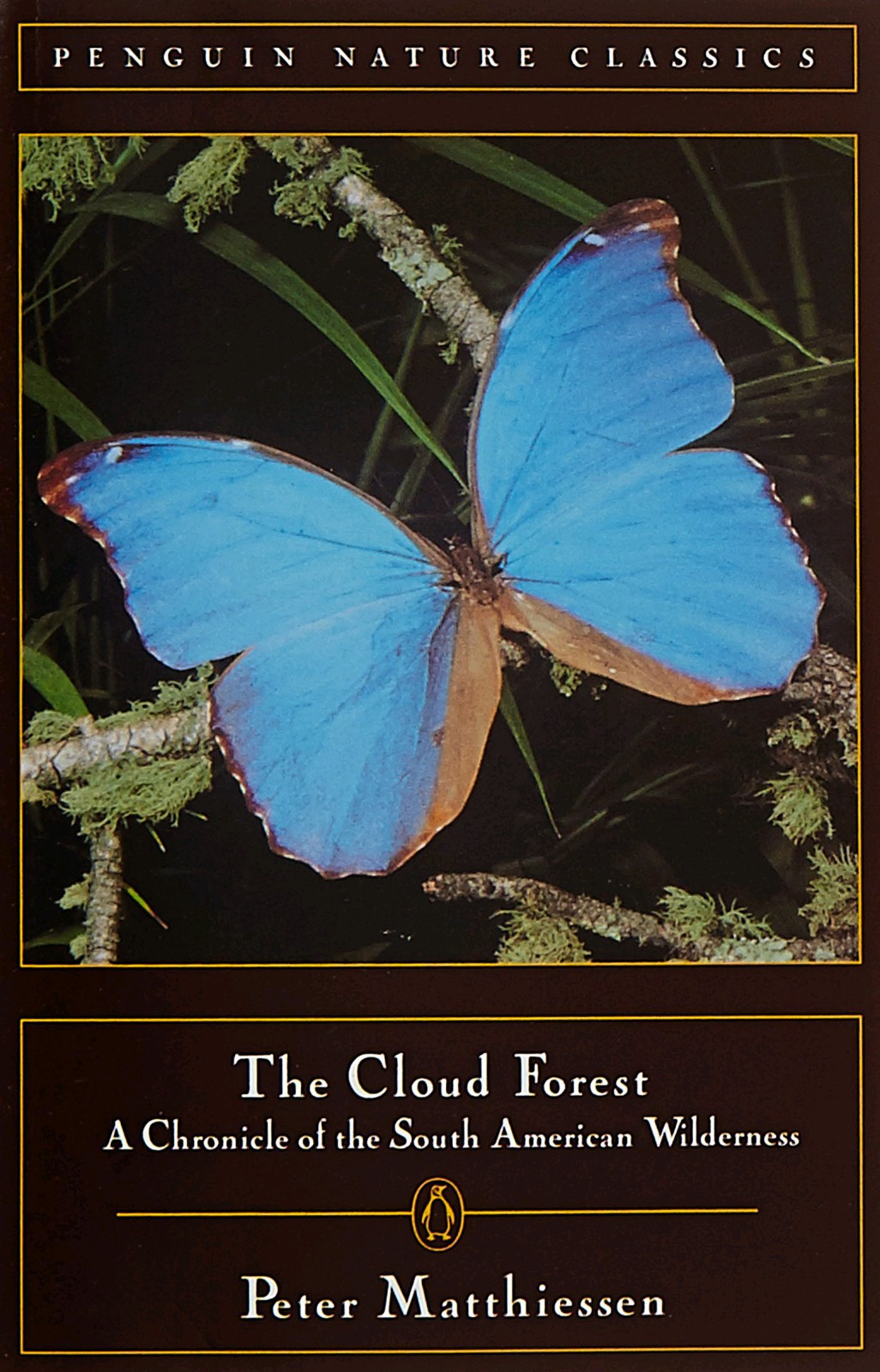 The Cloud Forest