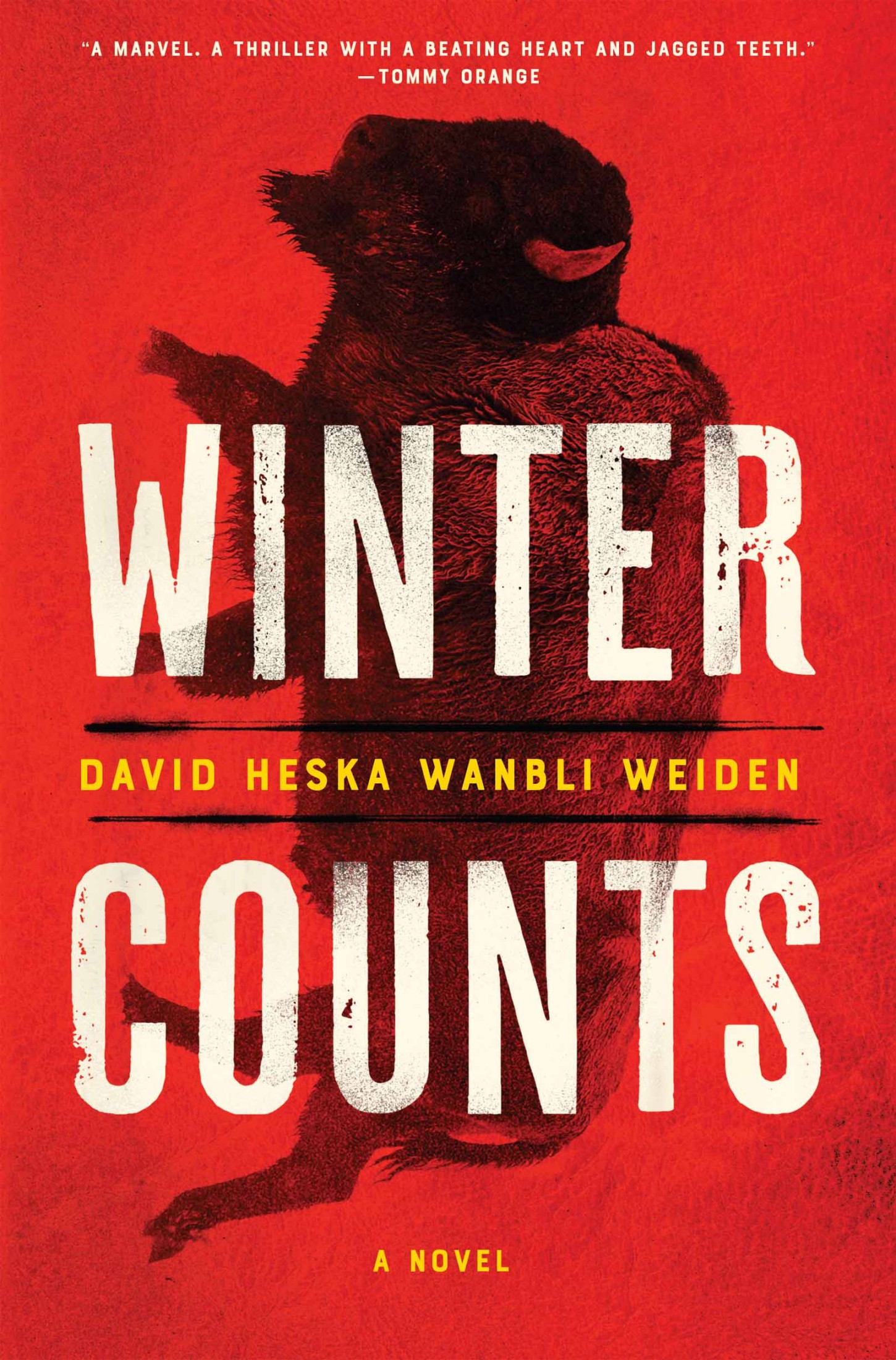 Winter Counts: A Novel
