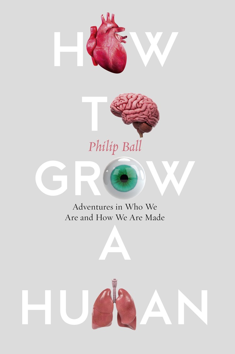How to Grow a Human: Adventures in How We Are Made and Who We Are