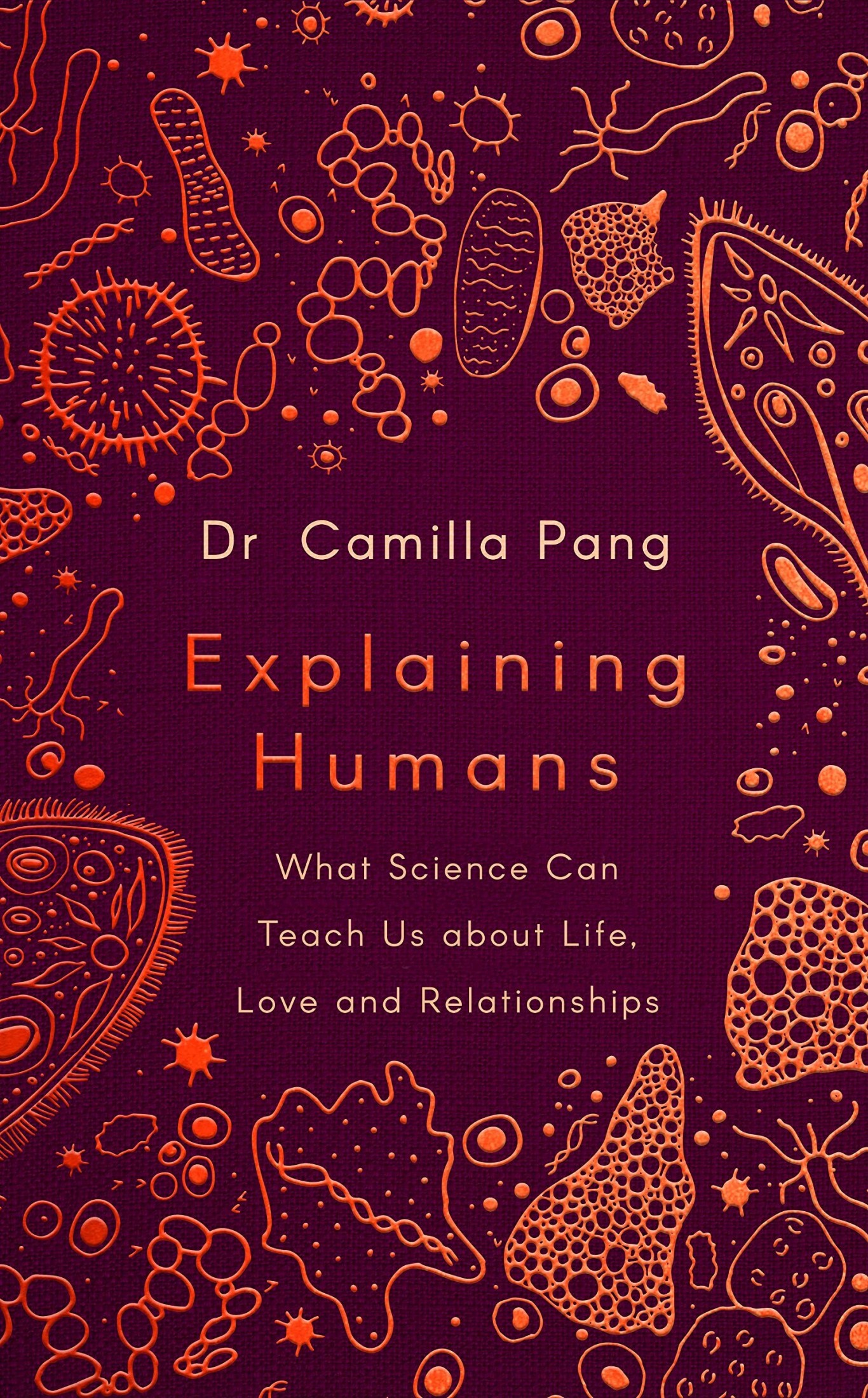 Explaining Humans: Winner of the Royal Society Science Book Prize 2020