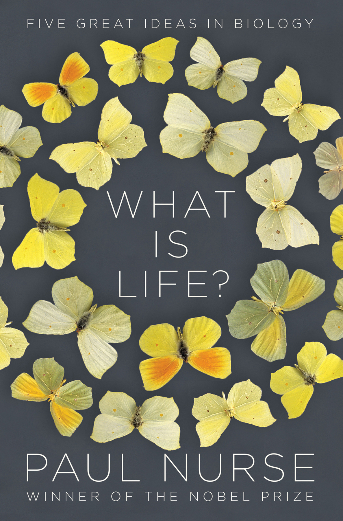 What Is Life?: Understand Biology in Five Steps