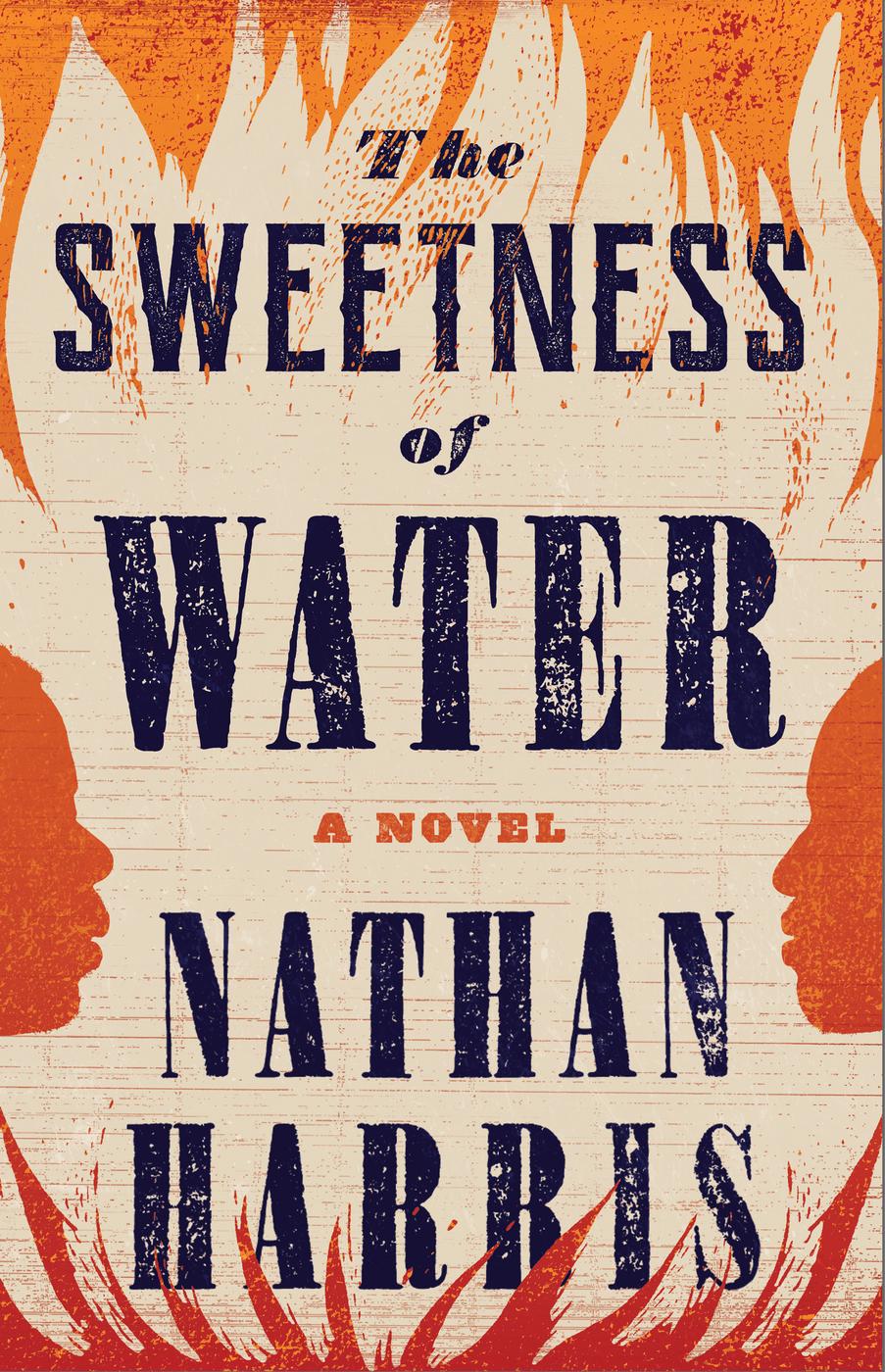The Sweetness of Water: A Novel