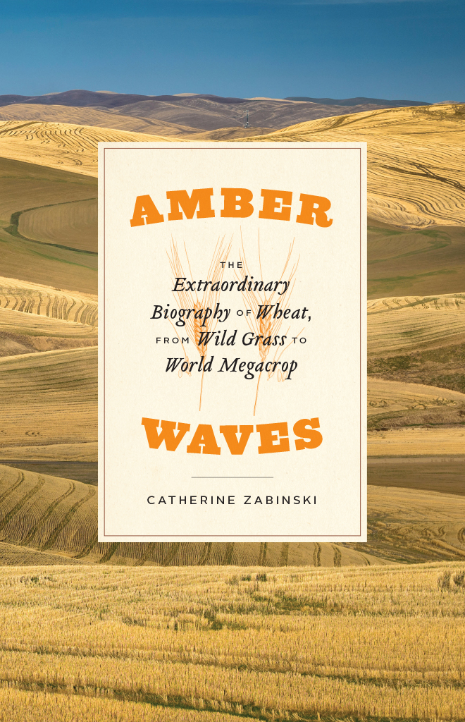 Amber Waves: The Extraordinary Biography of Wheat, From Wild Grass to World Megacrop