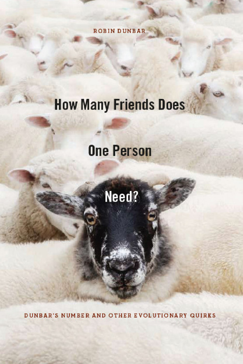 How Many Friends Done One Person Need?