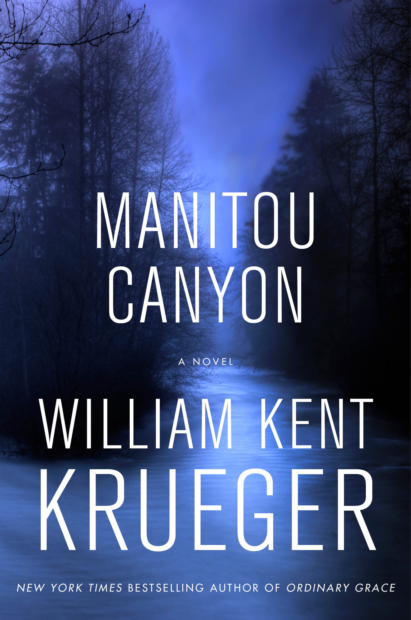 Manitou Canyon: A Novel