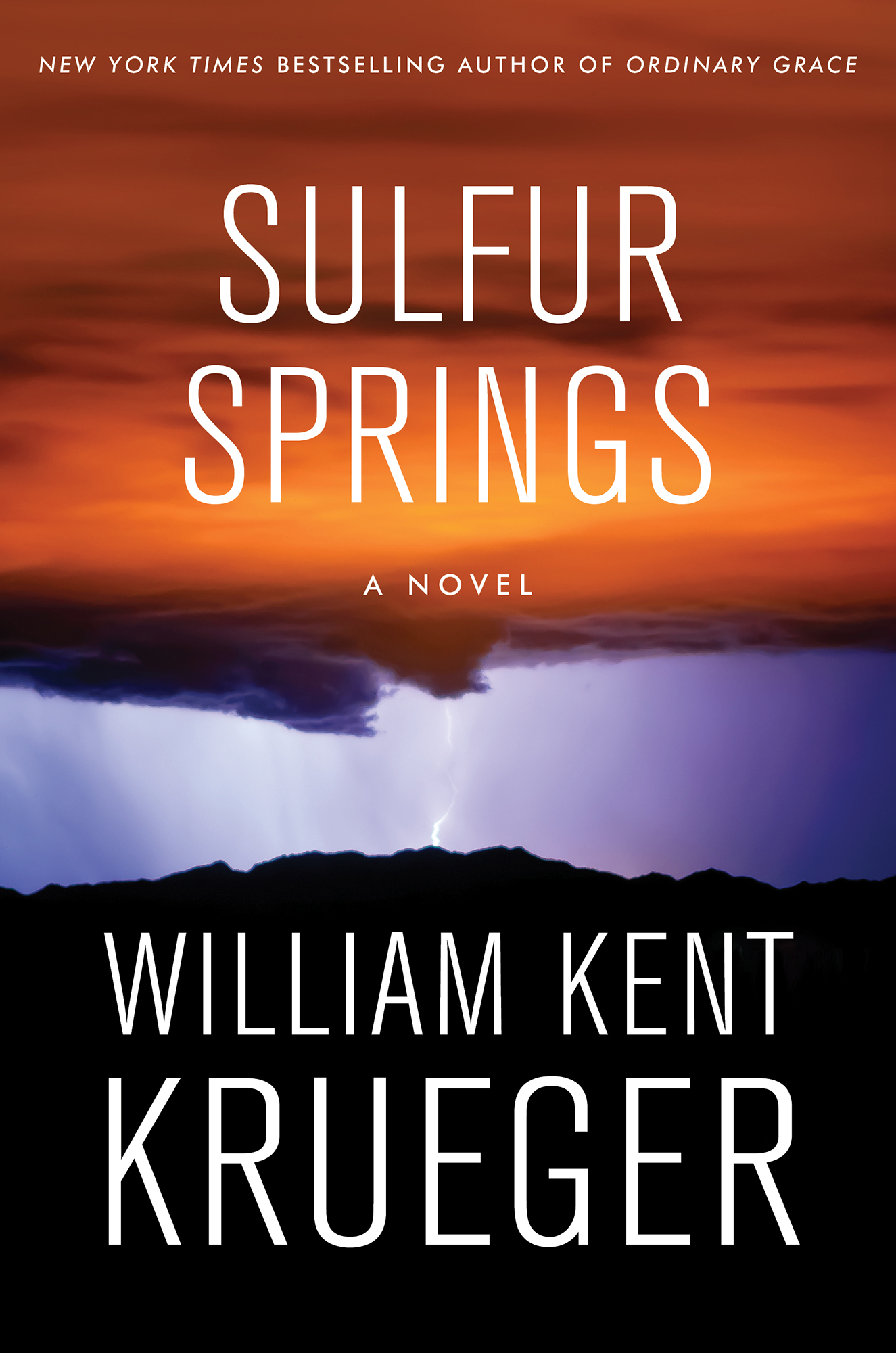 Sulfur Springs: A Novel