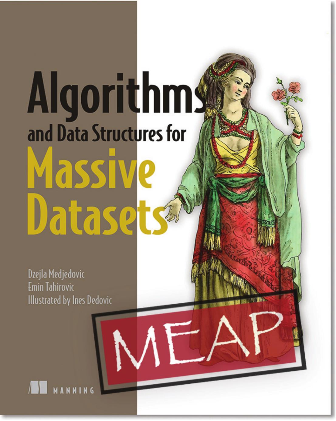 Algorithms and Data Structures for Massive Datasets MEAP V03