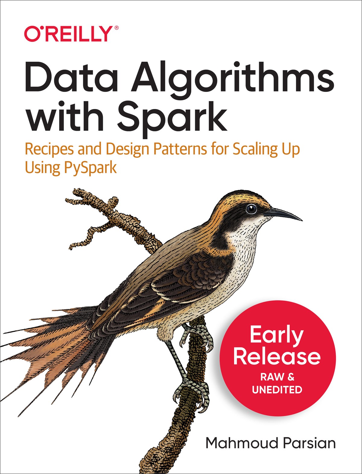 Data Algorithms With Spark: Recipes and Design Patterns for Scaling Up Using Pyspark