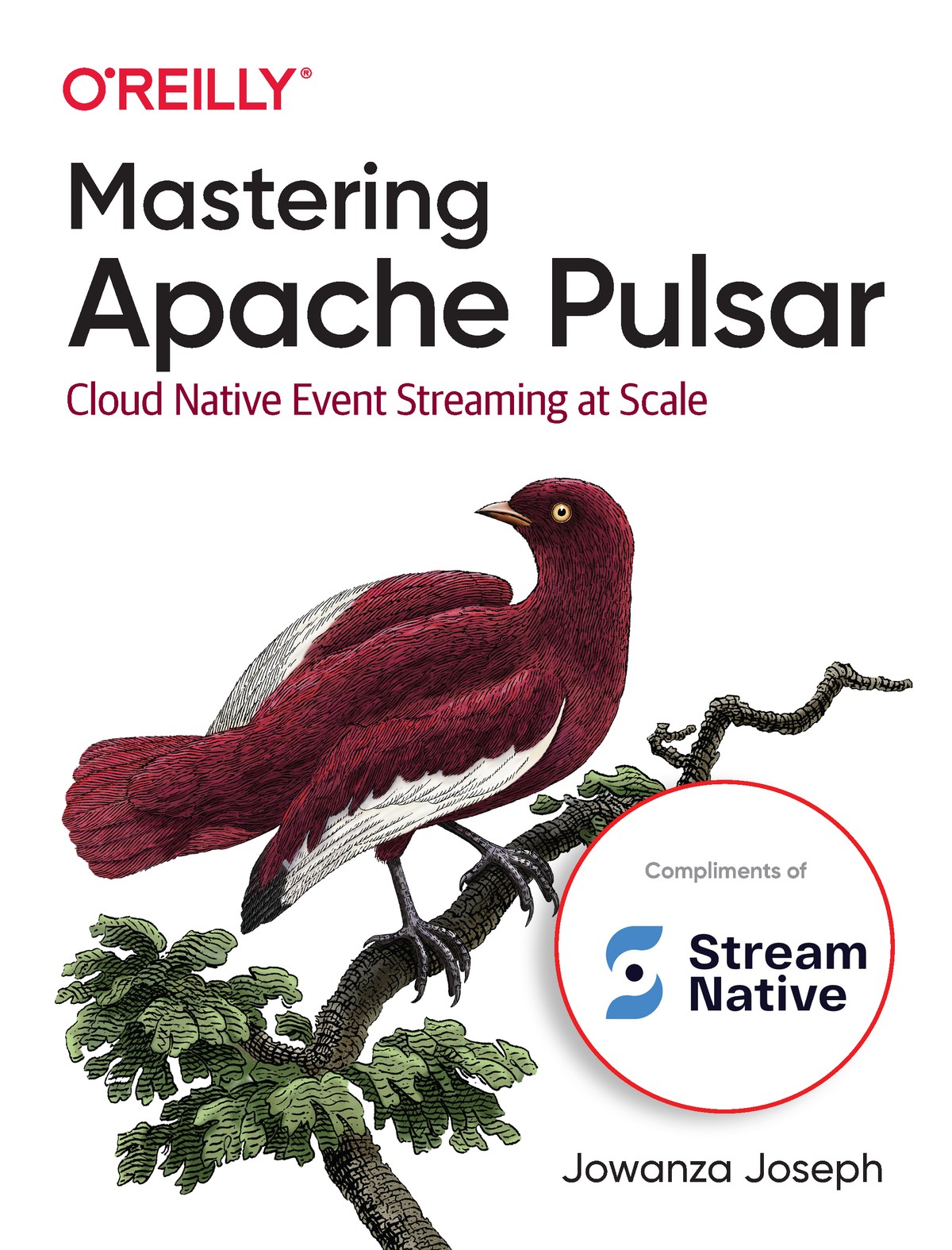 Mastering Apache Pulsar: Cloud Native Event Streaming at Scale