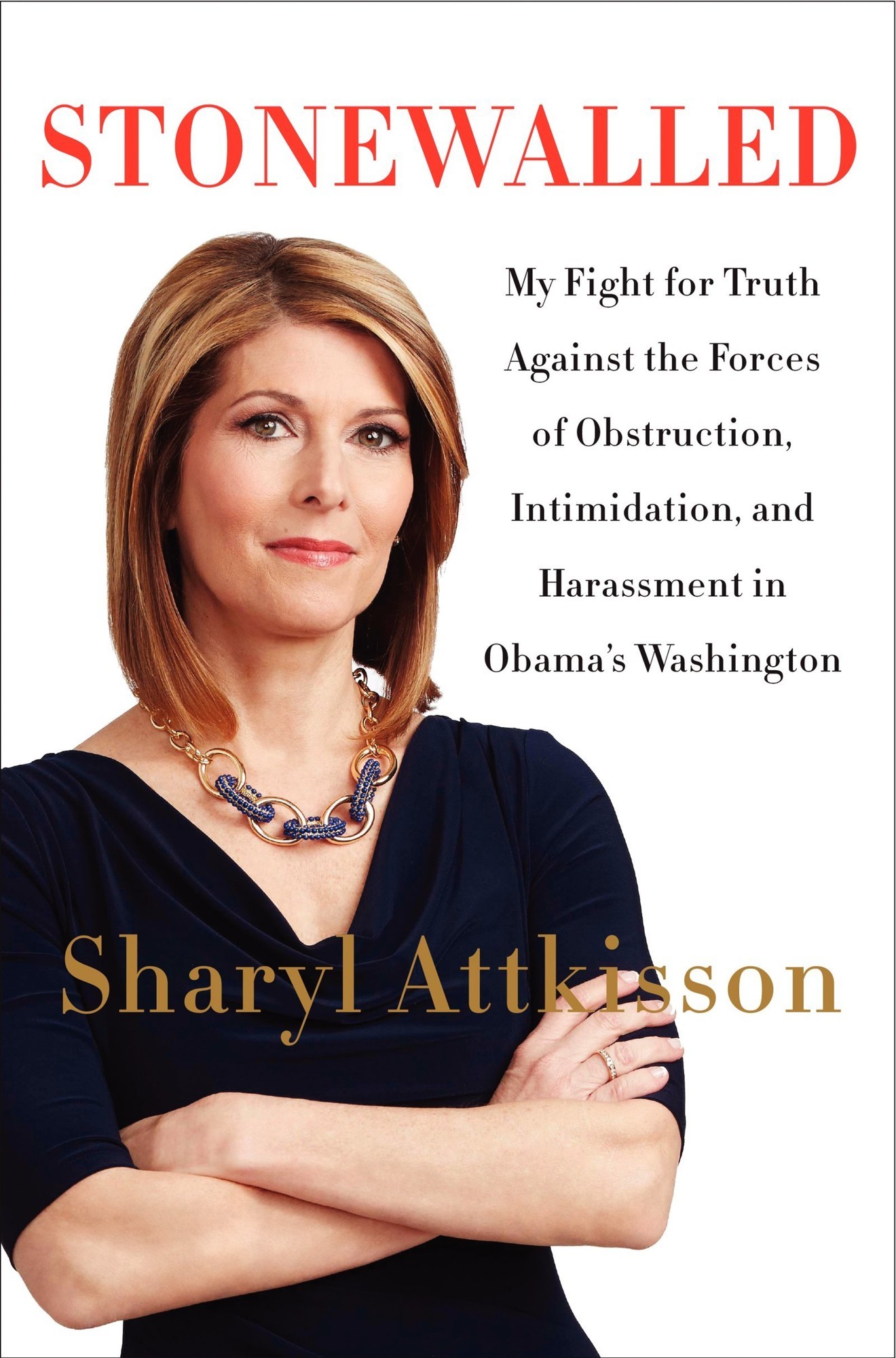 Stonewalled: My Fight for Truth Against the Forces of Obstruction, Intimidation, and Harassment in Obama's Washington.