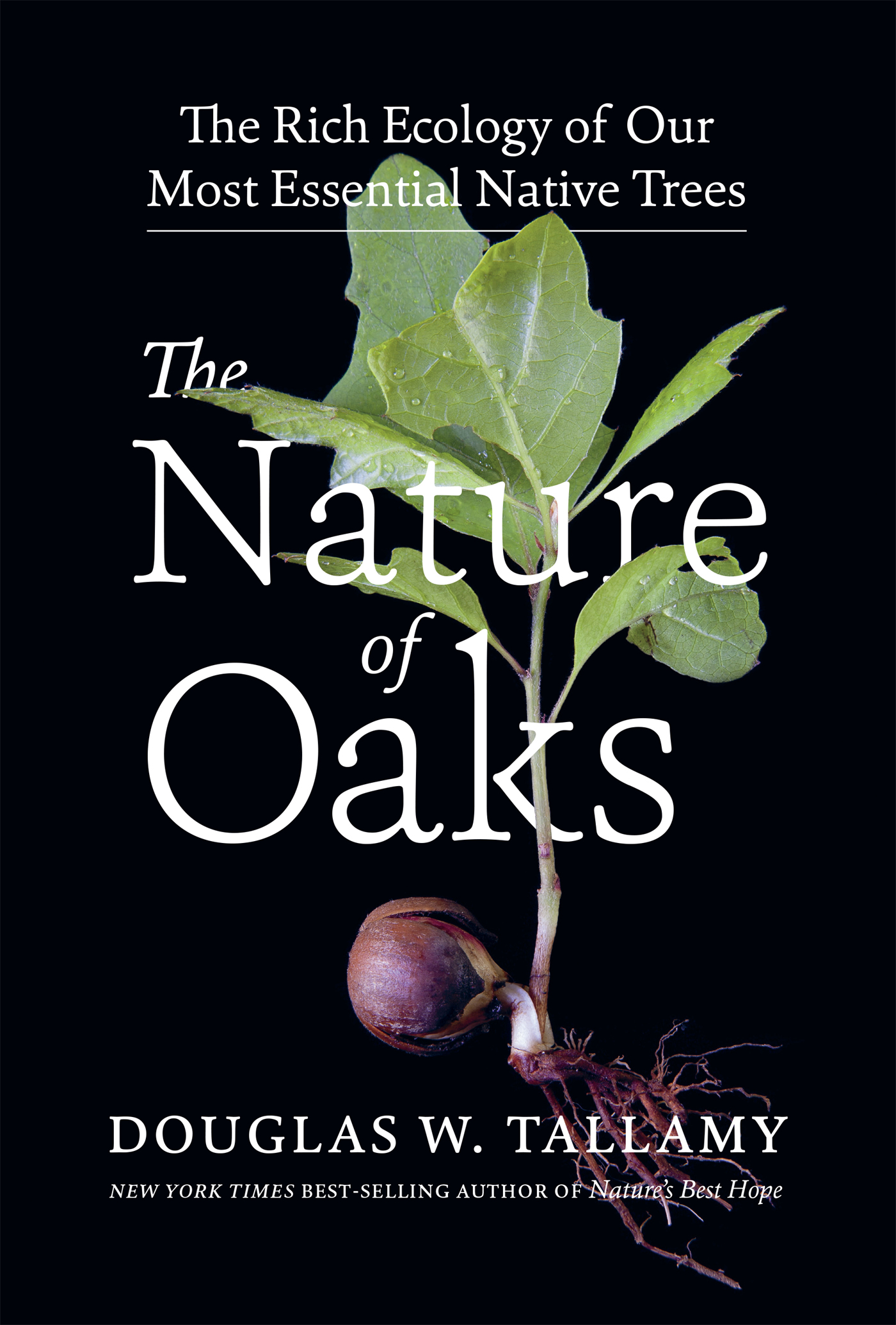 The Nature of Oaks: The Rich Ecology of Our Most Essential Native Trees