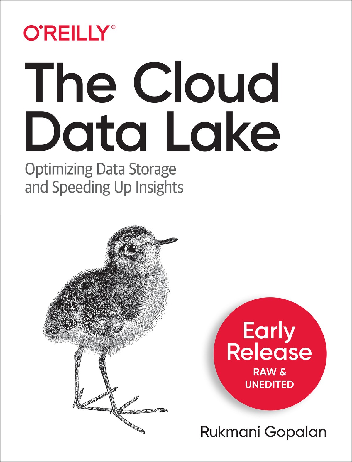 The Cloud Data Lake: A Guide to Building Robust Cloud Data Architecture