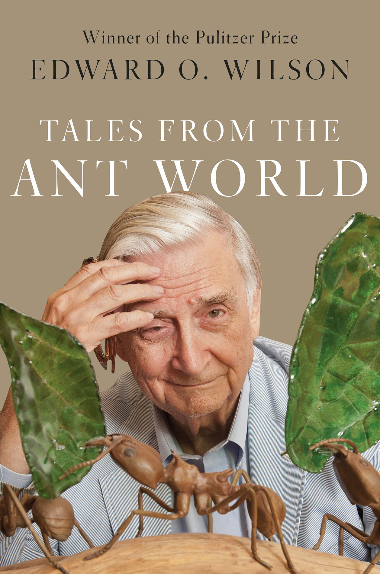 Tales From the Ant World