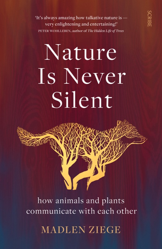 Nature Is Never Silent