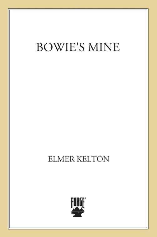 Bowie's Mine: A Story of the Buckalew Family