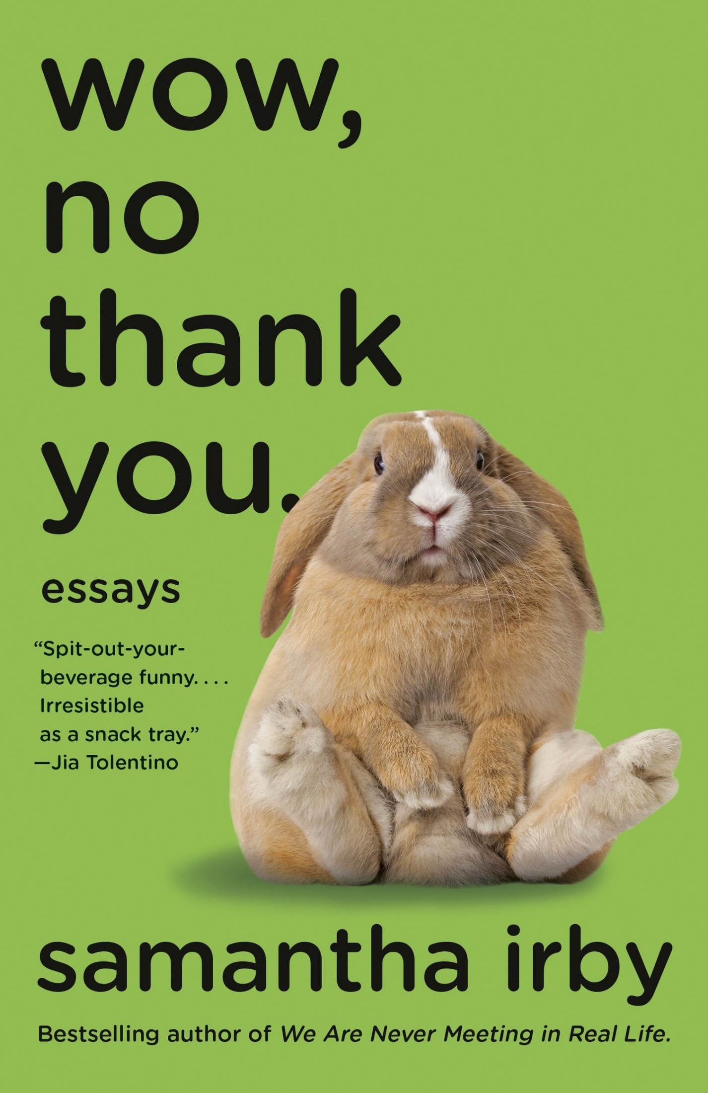Wow, No Thank You.: Essays
