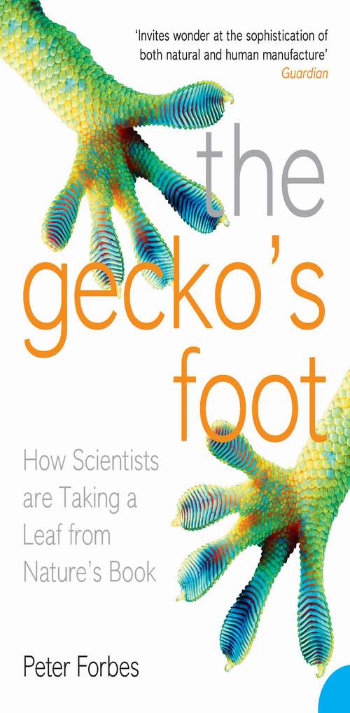 The Gecko’s Foot: How Scientists Are Taking a Leaf From Nature's Book