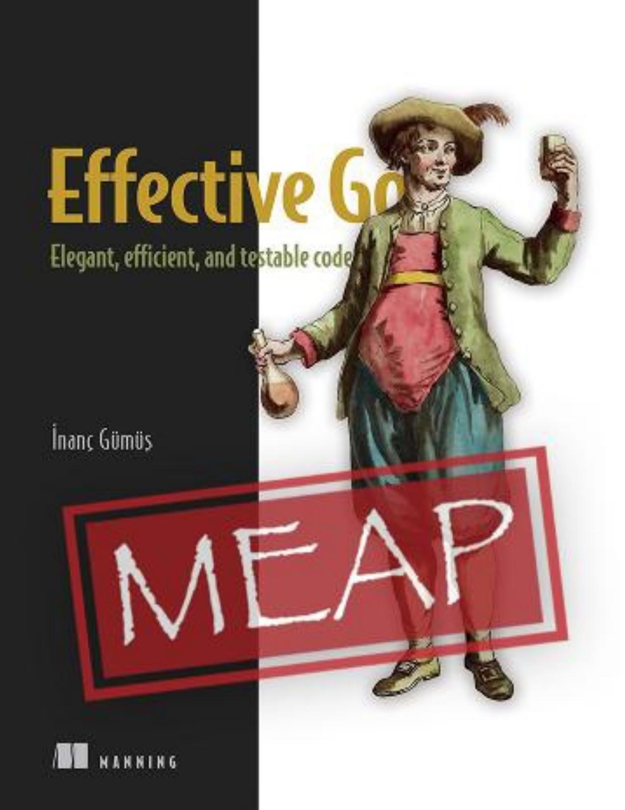 Effective Go: Elegant, Efficient, and Testable Code