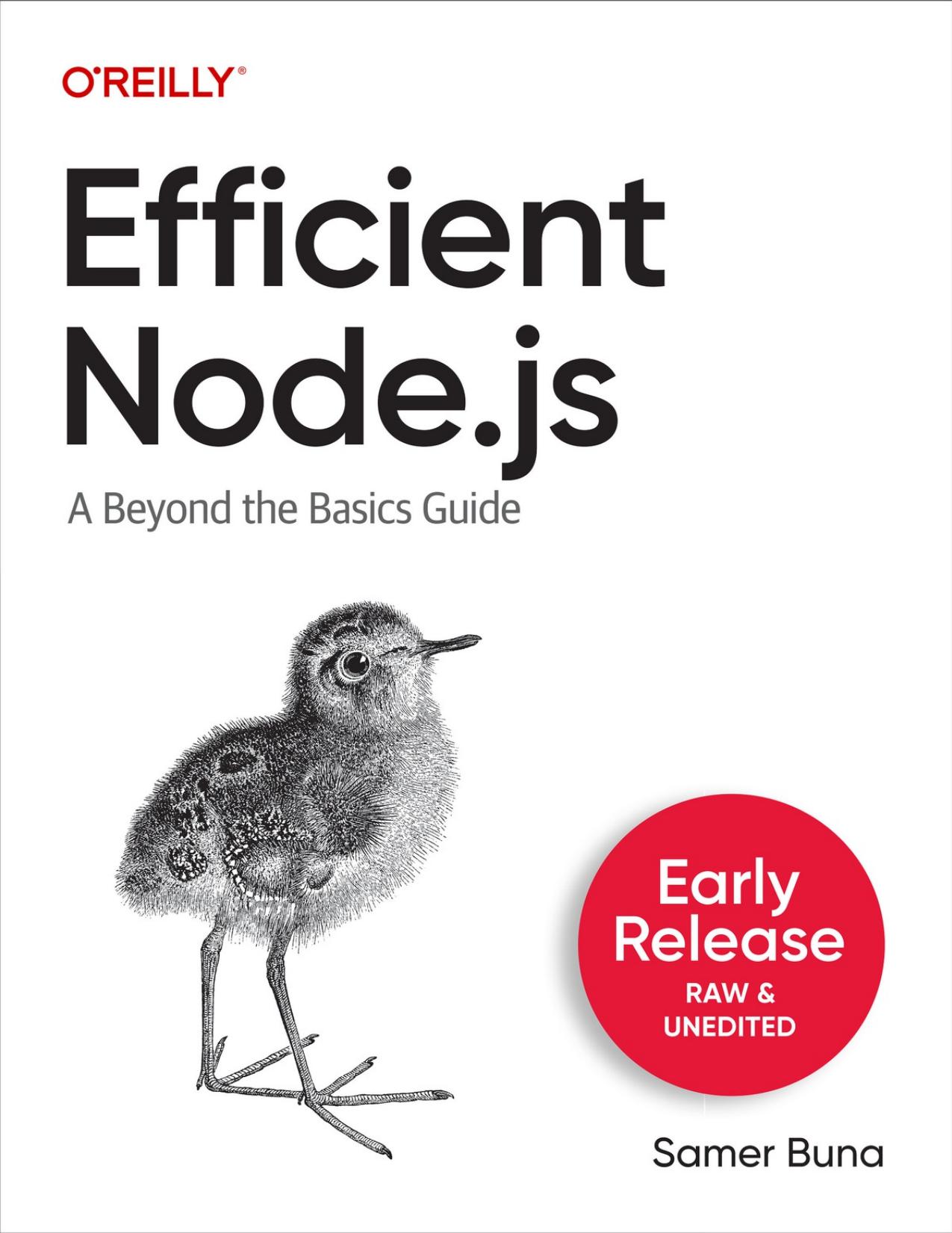 Efficient Node.js: A Beyond the Basics Guide
