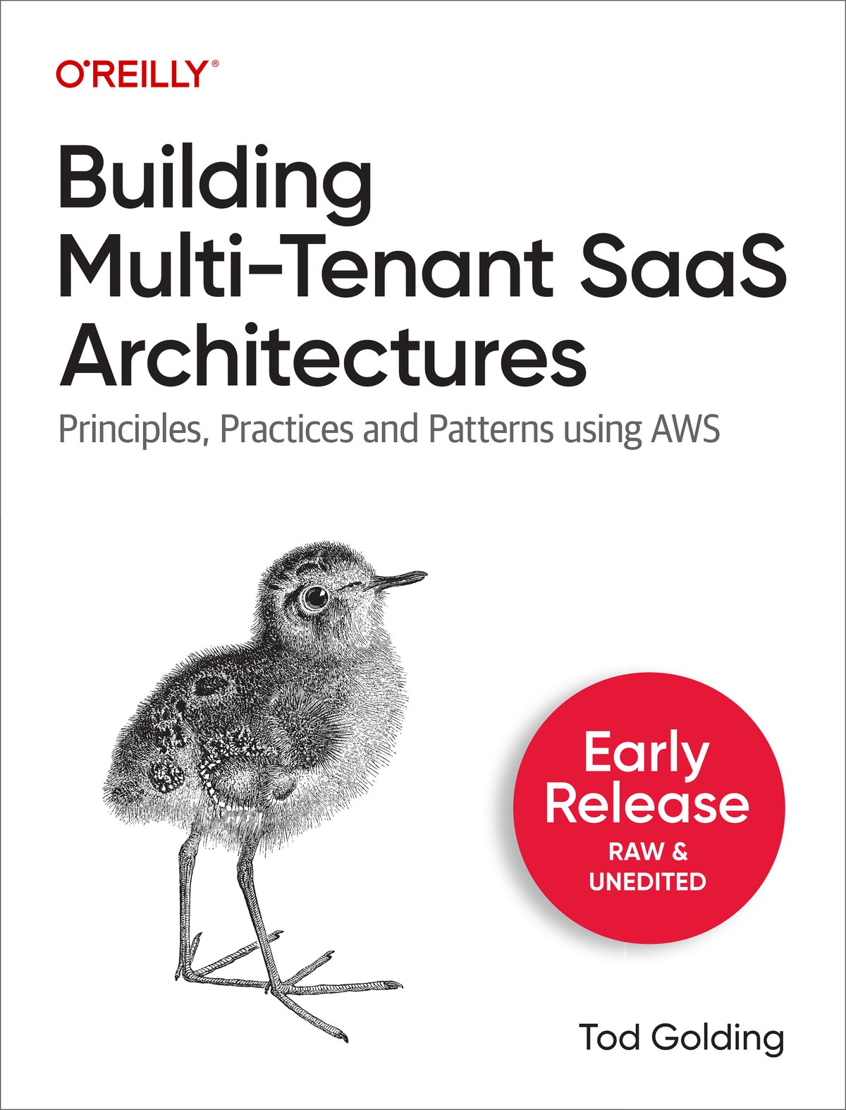Building Multi-Tenant Saas Architectures: Principles, Practices and Patterns Using Aws