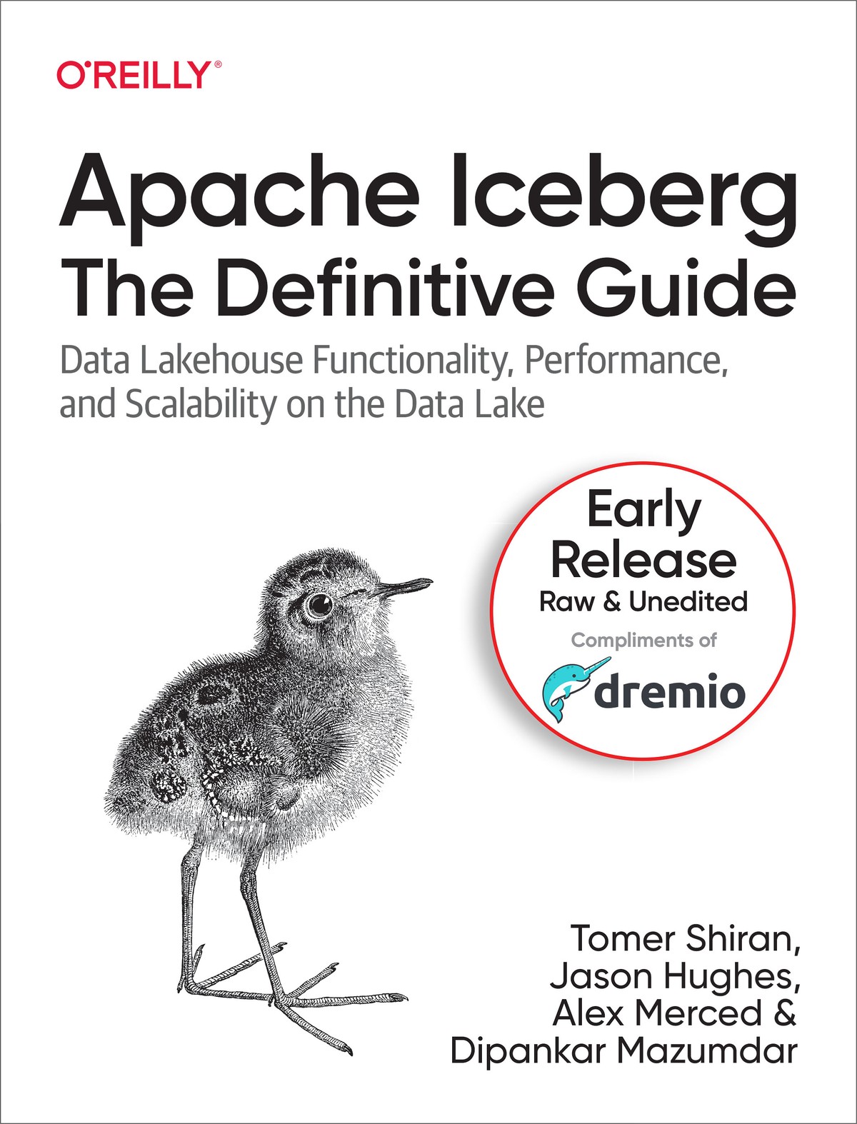 Apache Iceberg: The Definitive Guide: Data Lakehouse Functionality, Performance, and Scalability on the Data Lake