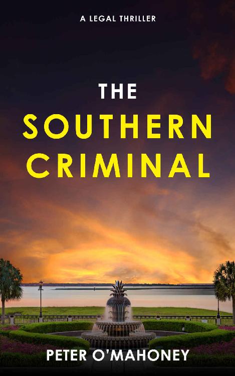 The Southern Criminal: An Epic Legal Thriller